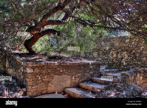 Templo De Las Musas Historia Fotografías E Imágenes De Alta Resolución