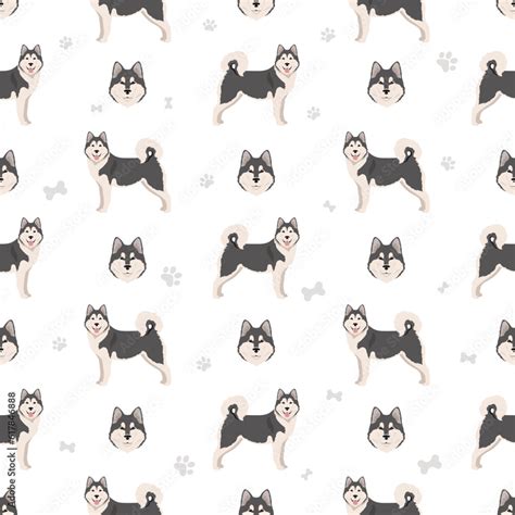 Alaskan Malamute All Colours Seamless Pattern Different Coat Colors