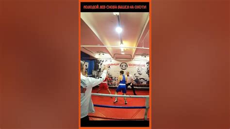 Молодой и голодный лев снова на охоте! Боксер вырос в мастерстве и не ...
