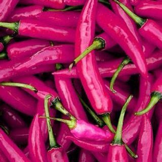 Hot Pink Chilli Peppers Close Up Photo