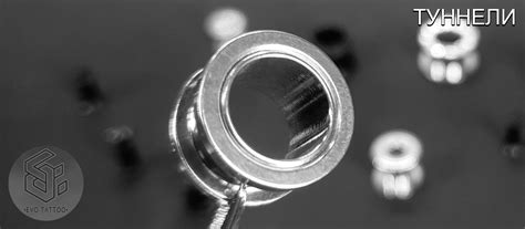 Туннели для пирсинга ⋆ Студия тату и пирсинга Эво