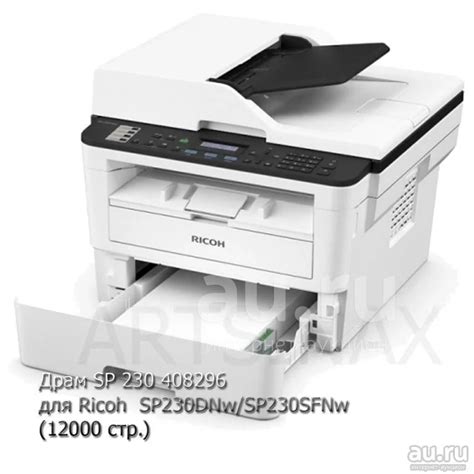 Драм Ricoh SP 230H для Ricoh SP230DNw, Ricoh SP230SFNw — купить в ...