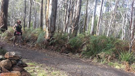 Crossdress Road Trip Roadside Stop Nude Pics Xhamster