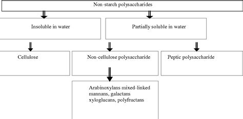 Polysaccharides Starch