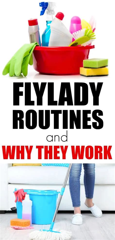 Learning To Fly With The Flylady Daily Routine To Keep Your House