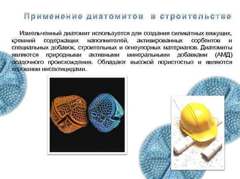 Экоресурсы Пензенской области Диатомит материал будущего Автор