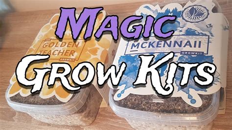 How To Grow Mushrooms From Start To Finish With A Magic Grow Kit The Easiest Way To Grow