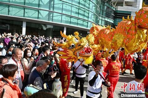 新春见闻香港龙狮跃动贺新春 聚焦 东南网