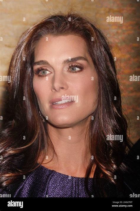 Brooke Shields 2009Photo By John Barrett PHOTOlink MediaPunch Stock