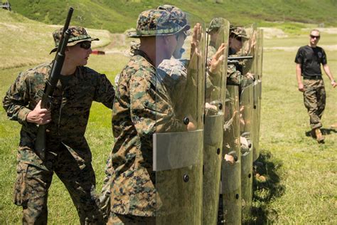 2d Battalion 3d Marines
