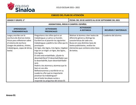 Esbozo Plan De Atención 3er Gradodocx