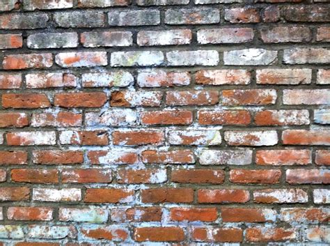 Brick And Paint Painting Brick Photography