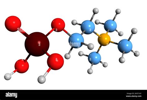 3D image of Phosphocholine skeletal formula - molecular chemical ...