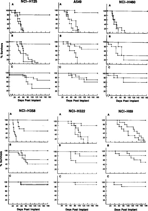 Figure 2 From Comparison Of Intrapulmonary Percutaneous Intrathoracic