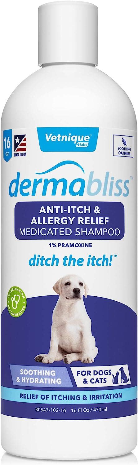 10 Best Allergy Shampoo For Dogs: Keeping Your Furry Friend Comfortable ...