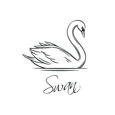 Swan Outline