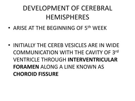 Development Of Cerebral Hemispheres Ppt