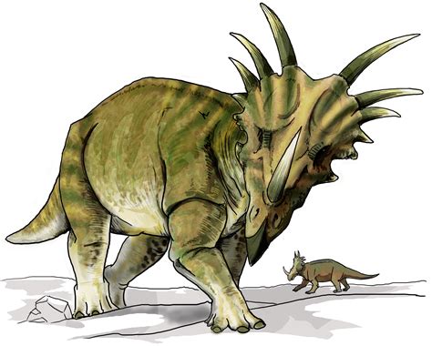 File:Styracosaurus dinosaur.png - Wikimedia Commons
