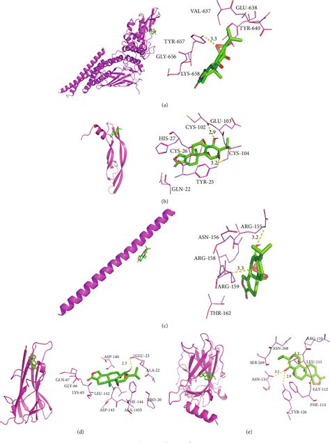 Figure From Potential Mechanisms Of Triptolide Against Diabetic