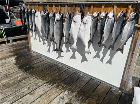 All Species Fish Combo Charters Ketchikan Halibut And Salmon Fishing