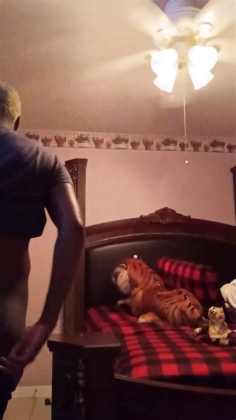 Free Gay Dentist Porn Videos XHamster