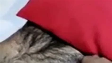 Free Slave Punished Gay Porn Videos XHamster