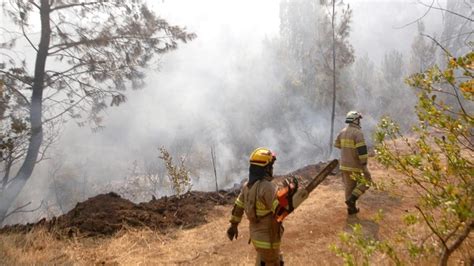 M S De Hect Reas Destruidas Por Incendio Forestal En Santa Juana