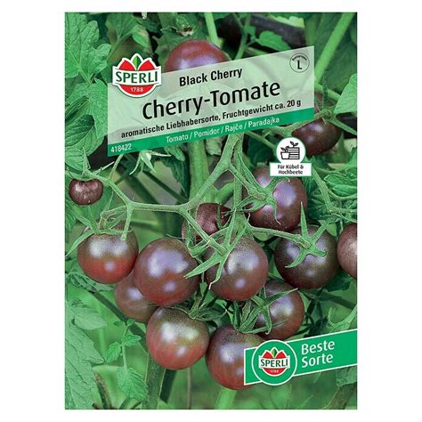 Sperli Gem Sesamen Cherry Tomate Black Cherry Solanum Lycopersicum