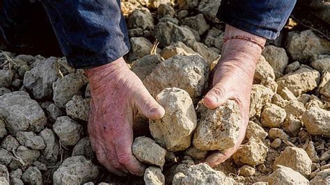 Acqui Terme E Appennino Ovadese Amag Scrive Ai Comuni No Allo Spreco