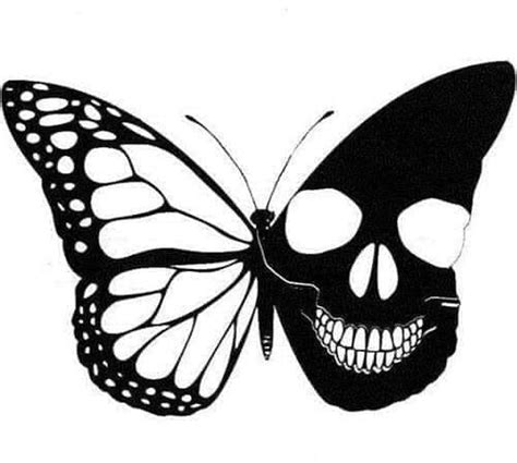 Skull Butterfly In 2020 Skull Art Skull Butterfly Tattoo Drawings