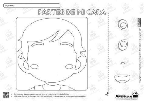 Divertidas Fichas Para Conocer Las Partes De La Cara Partes De La My XXX Hot Girl