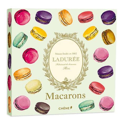 La Duree Macarons Recipes Book Macaron Recipe Macarons Laduree