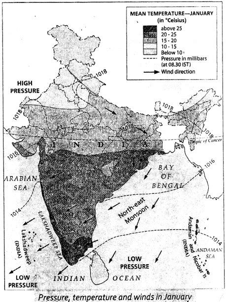 Icse Solutions For Class 8 Geography Voyage India Climate Natural Vegetation Forests And