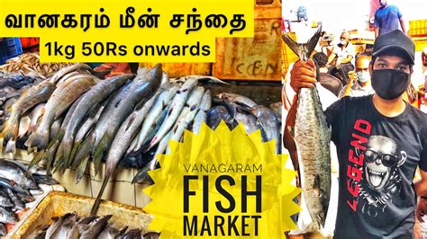 Vanagaram Fish Market Best Wholesale Fishmarket In Chennai Youtube