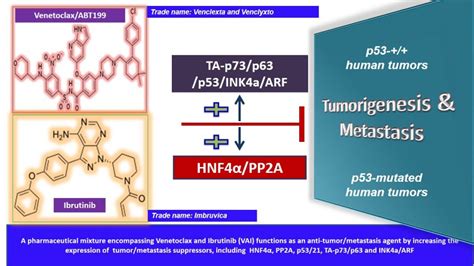 A Pharmaceutical Mixture Encompassing Venetoclax And Ibrutinib Vai