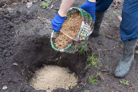 11 Smart Uses For Sawdust Around Your Home And Garden