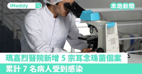 瑪嘉烈醫院新增5宗耳念珠菌個案，累計7名病人受到感染 本地新聞 Imeddy 線上醫療平台丨醫療科技丨視像問診丨醫療資訊 睇醫生 搵imeddy