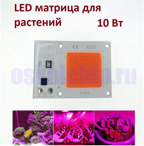 Купить LED чип 10Вт 220В, матрица светодиодная 10W 220V для растений ...