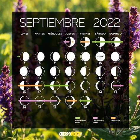 Calendario Lunar De Marzo 2023 Artofit