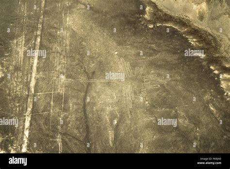 Vista Aérea De Las Líneas De Nazca Fotografías E Imágenes De Alta