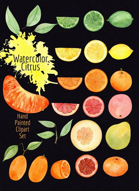 Watercolor Citrus PNG Clipart Hand Painted Clipart Set Summer Tropical Fruits Clipart Fruit ...