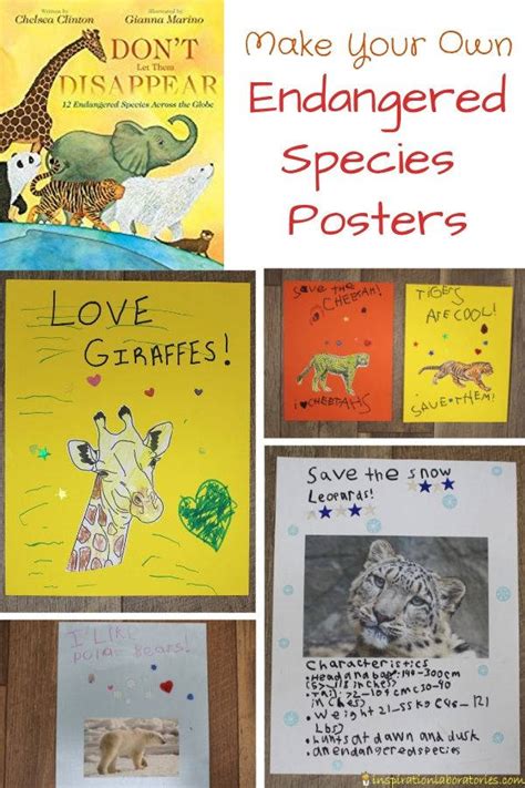 Endangered Animals Poster Project