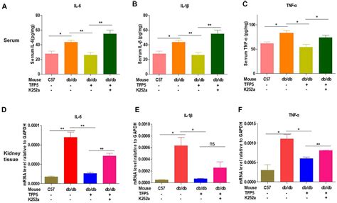 Frontiers Tfp Mediated Cdk Activity Inhibition Improves Diabetic