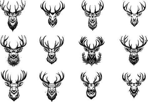 Deer head set. Black and white vector illustration for tattoo. 25877140 ...