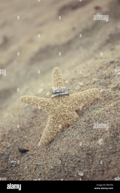 Wedding Rings On Starfish Stock Photo Alamy