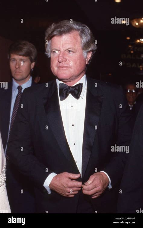 Ted Kennedy Circa 1980's Credit: Ralph Dominguez/MediaPunch Stock Photo ...