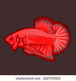 1,026 Betta Fish Silhouette Royalty-Free Images, Stock Photos ...