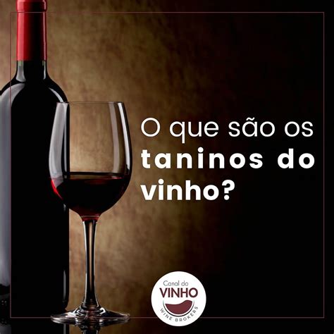 O Que São Os Taninos Do Vinho Canal Do Vinho Wine Brokers