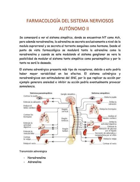 Farmacolog A Del Sistema Nervioso Aut Nomo Carolina Canales Udocz