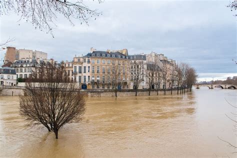 paris bank   seine stock photo image  barge
